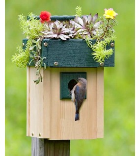 Casa para pájaros con maceta superior