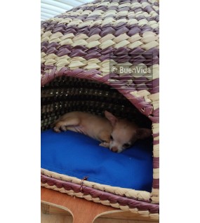 Casita de Mascota 03